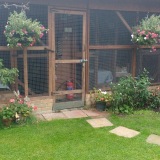 heathrowcattery.co.uk