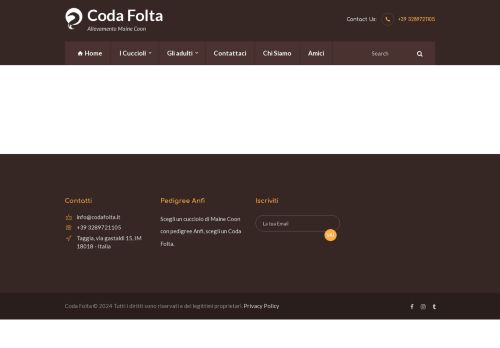 Coda Folta - Allevamento Maine Coon