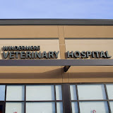 Windermere Veterinary Hospital