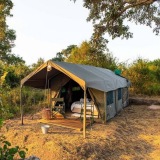 Kruger Untamed