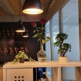 ppr-mybigbang.mindflurry.io/salle-de-sport/le-bouscat