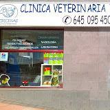 topveterinarios.com/clinica-veterinaria-tibicenas/