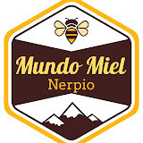 mundomielnerpio.com