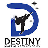 destinymartialartsacademy.com