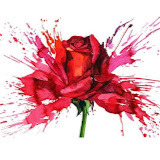 Kwiaciarnia „Kwiatem Malowane” Reviews