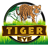 Tiger Eye Tours Reviews