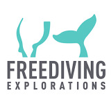 freedivingexplorations.com