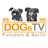 DogsTV