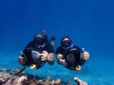 Aruba Bob Snorkel & Scuba