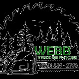 webbtreect.com
