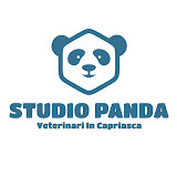 Studio Veterinario Panda