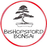 bishopsfordbonsai.co.za