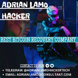 CONTACT ADRIAN LAMO HACKER TO RECOVER LOST DIGITAL ASSETS