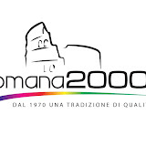 Romana 2000 Srl