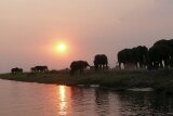 East Africa Safari Guides Reviews