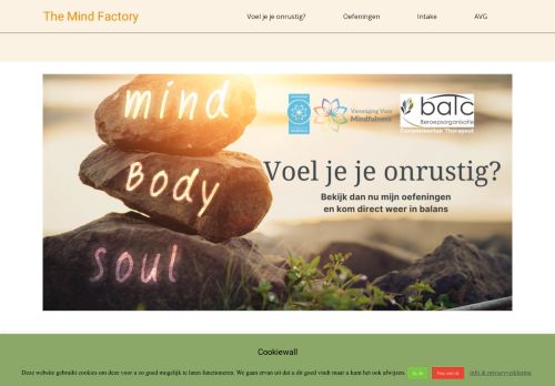 The Mind Factory