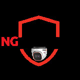 ngelectricsystems.com