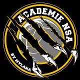 academiensa.com