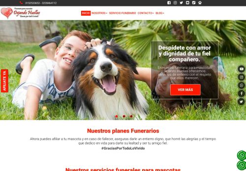 dejandohuellas.com.co