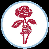 lancastershoulder.com