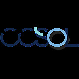 CCSOL – Digital Marketing Agency Reviews