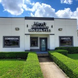 mayosinsurancegroup.com