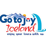 gotojoyiceland.com