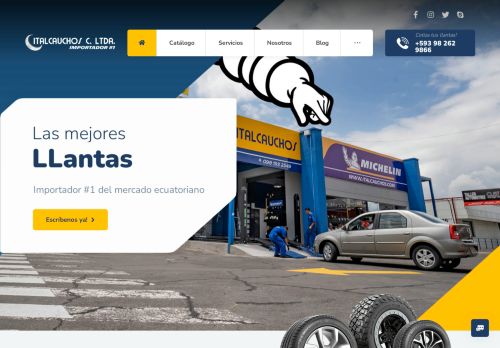 Italcauchos Norte Michelin Bf Goodrich