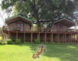Sabie River Bush Lodge Reviews