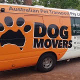 Dog Movers