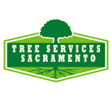 Tree Services Sacramento