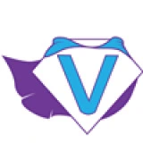 Vivacity Consulting