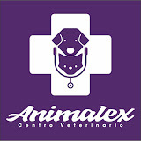 topveterinarios.com/animalex-centro-veterinario/