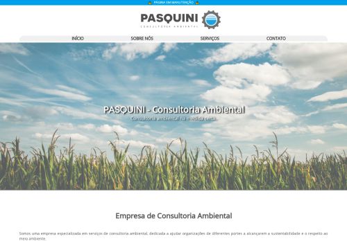 pasquiniconsultoria.com.br
