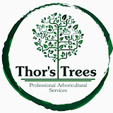 Thor's Trees