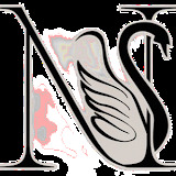 nhanceskinaesthetics.com