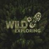 Wild Exploring