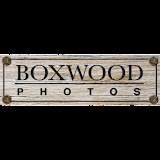 Boxwood Photos