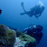 ihasiadivingkohtao.com