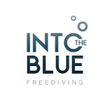 Into the Blue freediving