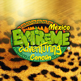 example.com
