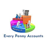 Every Penny Accounts Reviews