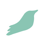 accountantsonair.com