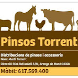 Pinsos Torrent