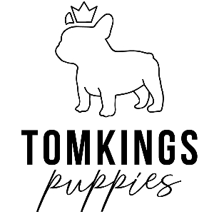TomKings Puppies (TomKings Kennel)