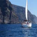 Third Element Luxury Charters Whale Watching & Sailing Charters