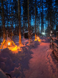 huskysafari.fi