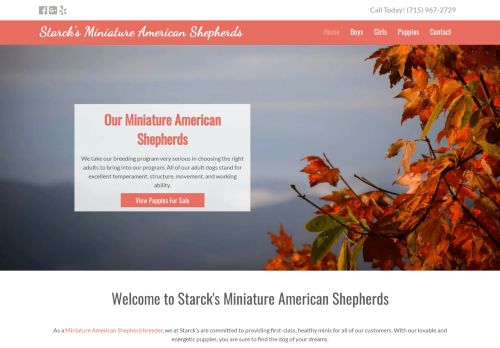 starcksminiatureamericanshepherds.com
