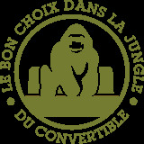 king-convertible.com