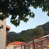 ilplatano.ch
